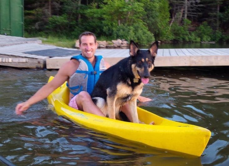 german shepherd off leash training