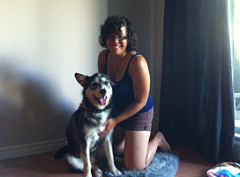 Husky has freedom! Dog Training Halifax NS