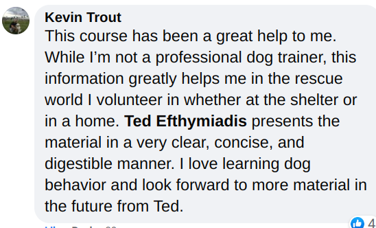 Screenshot 2020-12-11 at 10.29.32 AM