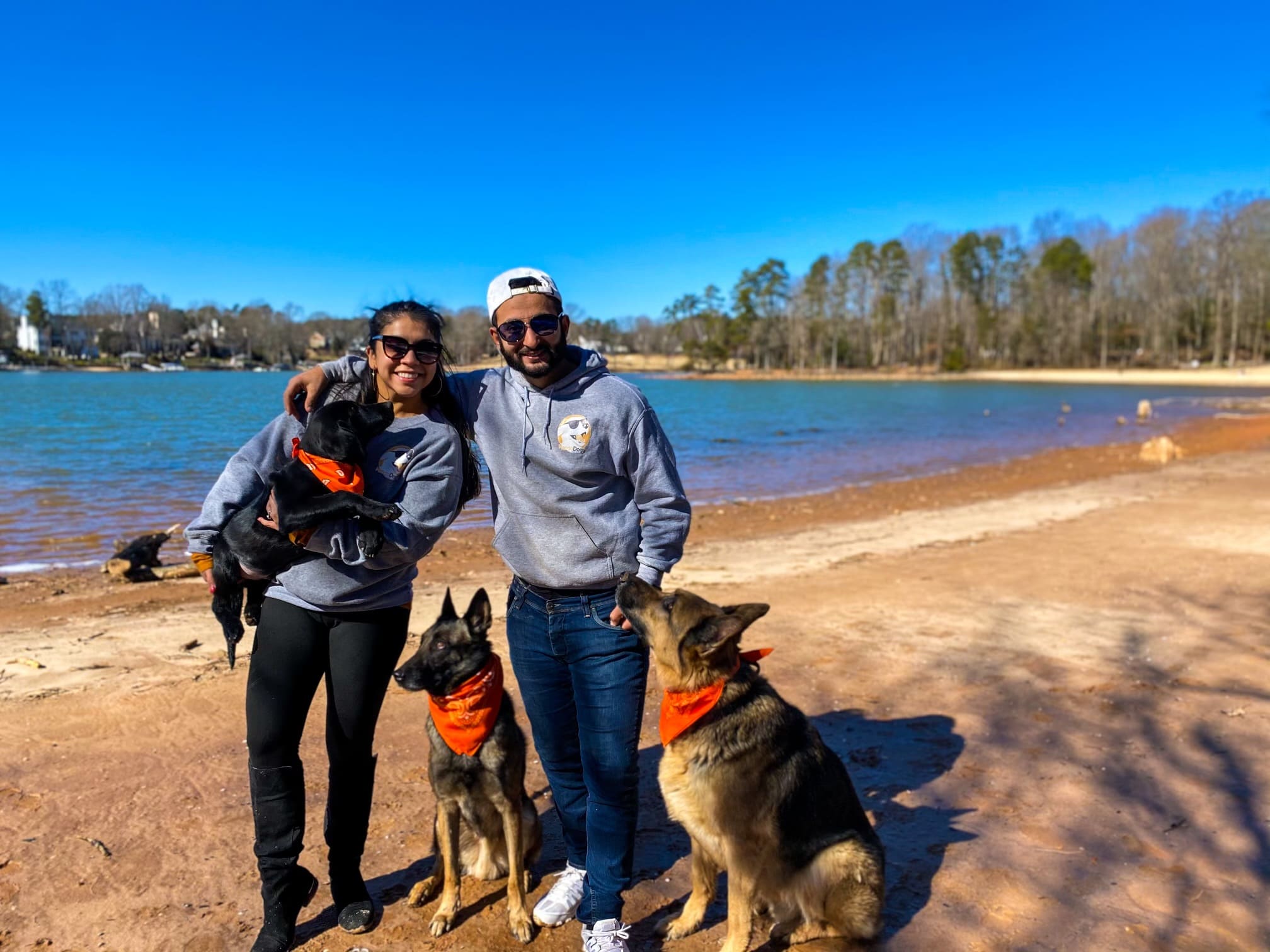 private dog trainer private dog trainer