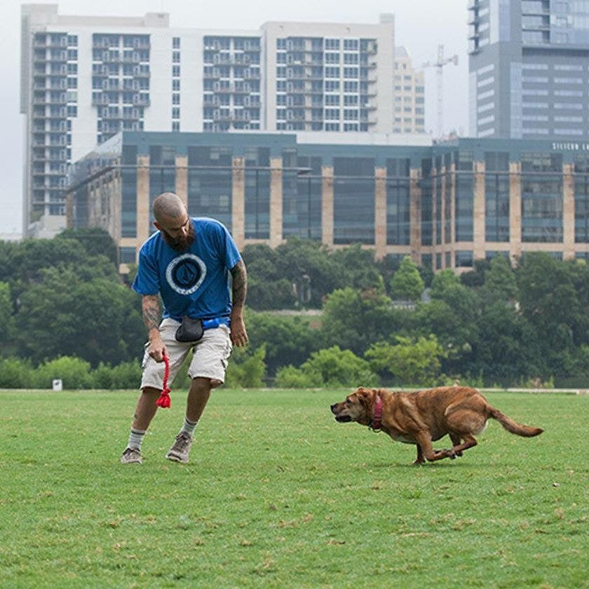 Thank You Call Booked Austin